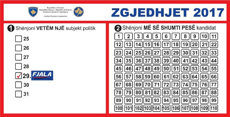 Si të votohet Partia FJALA